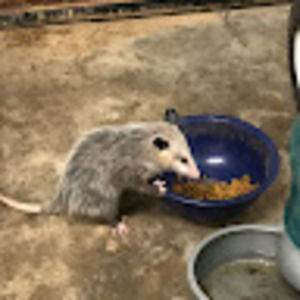 Meet your Posher, Tom